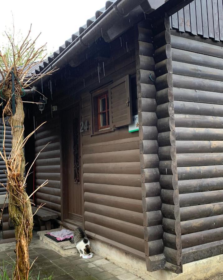 Ferienwohnung Lili Brežice Exterior foto